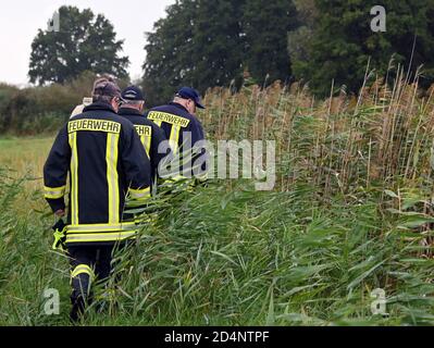 Bleyen, Deutschland. Oktober 2020. Feuerwehrleute suchen im Kerngebiet der Afrikanischen Schweinepest an der polnischen Grenze nach toten Wildschweinen. Nach dem offiziell bestätigten Ausbruch der Afrikanischen Schweinepest bei Wildschweinen in Märkisch-Oderland werden weitere Maßnahmen ergriffen, um die Ausbreitung der Seuche zu verhindern. Quelle: Bernd Settnik/dpa-Zentralbild/dpa/Alamy Live News Stockfoto