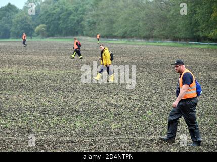 Bleyen, Deutschland. Oktober 2020. Feuerwehrleute und Freiwillige suchen im Kerngebiet der Afrikanischen Schweinepest nach toten Wildschweinen und Schlachtkörpern. Nach dem offiziell bestätigten Ausbruch der Afrikanischen Schweinepest bei Wildschweinen in Märkisch-Oderland werden weitere Maßnahmen ergriffen, um die Ausbreitung der Seuche zu verhindern. Quelle: Bernd Settnik/dpa-Zentralbild/dpa/Alamy Live News Stockfoto