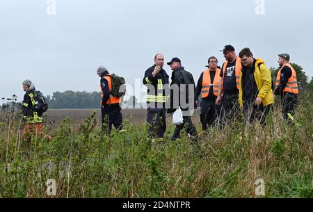 Bleyen, Deutschland. Oktober 2020. Ein Feuerwehrmann weist die Freiwilligen an, im Kerngebiet nach toten Wildschweinen und Kadavern zu suchen. Nach dem offiziell bestätigten Ausbruch der Afrikanischen Schweinepest bei Wildschweinen in Märkisch-Oderland werden weitere Maßnahmen ergriffen, um die Ausbreitung der Seuche zu verhindern. Quelle: Bernd Settnik/dpa-Zentralbild/dpa/Alamy Live News Stockfoto