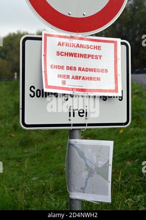 Bleyen, Deutschland. Oktober 2020. Ein Schild am oder-Deich kennzeichnet das Gebiet als Kernzone der Afrikanischen Schweinepest an der polnischen Grenze. Nach dem offiziell bestätigten Ausbruch der Afrikanischen Schweinepest bei Wildschweinen in Märkisch-Oderland werden weitere Maßnahmen ergriffen, um die Ausbreitung der Seuche zu verhindern. Quelle: Bernd Settnik/dpa-Zentralbild/dpa/Alamy Live News Stockfoto