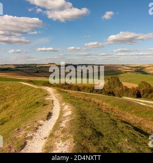 Blick nach Norden in Richtung Chanctonbury vom oberen Wall des Hügels Fort Cissbury Ring im South Downs National Park, West Sussex, Großbritannien. Stockfoto