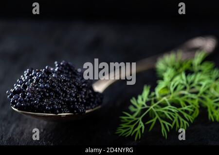 Schwarzer Kaviar in einem silbernen Löffel mit Dill Stockfoto