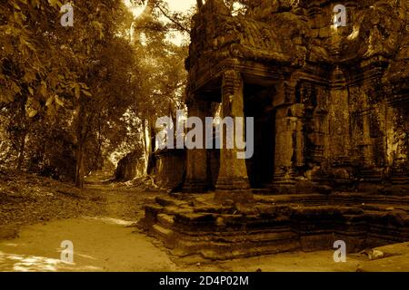 Steinschnitzereien und Säulen der Tempel von Ankor Wat Stockfoto