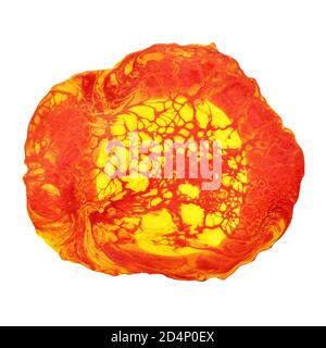 Rot-gelber Fleck. Acryl Gießen. Handgezeichnete Textur mit Zellen Stockfoto
