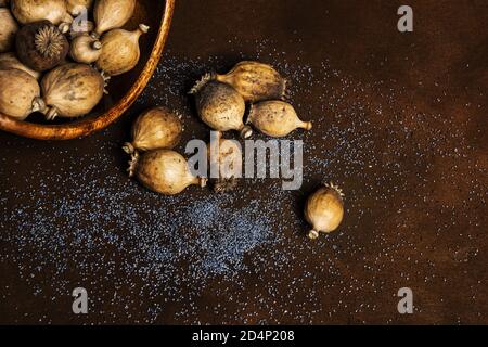 Holzschüssel voller verstreuter geernteter Mohnschoten (Papaver somniferum) Mit vielen blau reifen Mohn Samen liegen auf dem Braun Hintergrund um Stockfoto