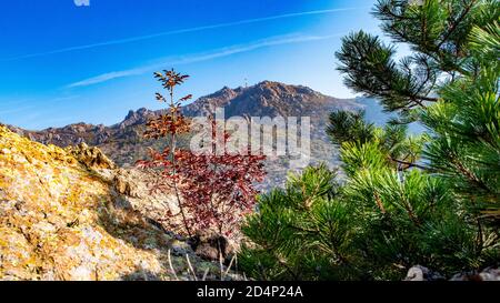 Schöne bunte Bergansicht von Bäumen und einem hohen Berggipfel in der Ferne (Blue Rocks / 'Sinite Kamani' Berg in Sliven, Bulgarien) Stockfoto