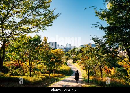 Herbst Namsan Park Baekbeom plaza in Seoul, Korea Stockfoto