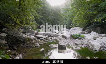 Ein malerischer Gebirgsfluss zwischen den Felsen. Der Fluss fließt schnell zwischen Steinen und Pflanzen und schafft Schaum. Der schnelle Fluss im Wald Stockfoto