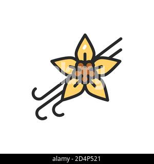 Vanilleschoten und Blume mit Beschriftung Farbe Linie Symbol. Vektorgrafik Stock Vektor