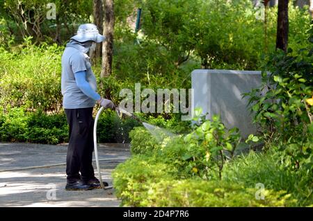 Gießanlagen für Bodenwächter im Sha Tin Park, Hongkong Stockfoto