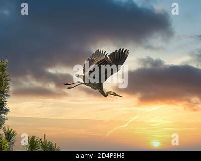 Surrealer Reiher im Flug mit einer herrlichen Himmelskulisse Stockfoto