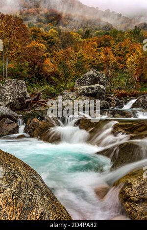 Italien Piemont Valle Gesso - Herbst Stockfoto