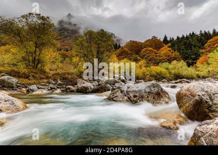 Italien Piemont Valle Gesso - Herbst Stockfoto