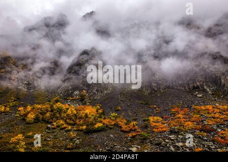 Italien Piemont Valle Gesso - Herbst Stockfoto