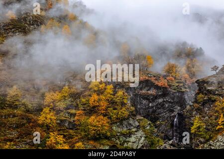 Italien Piemont Valle Gesso - Herbst Stockfoto