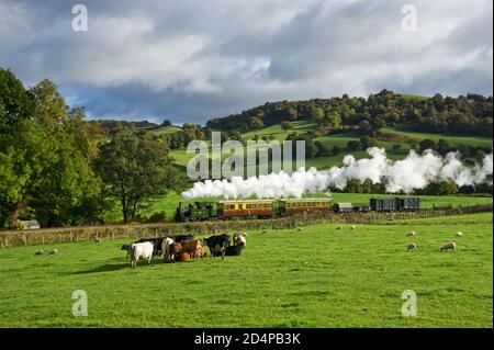 Nachgebaut in den späten 1920er Jahren, bevor der GWR-Personenverkehr zurückgezogen wurde. Annäherung An Cyfronydd. Welshpool & Llanfair Railway Stockfoto