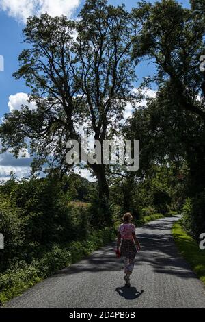 Frau, die im Sommer auf einer Landstraße in der Nähe von Kill, County Kildare, Irland, entlang geht Stockfoto