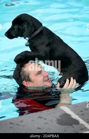 Cheltenham, Großbritannien. 10. Oktober 2020. Dave Puttnam mit Toby, 4 Monate alt, das erste Mal im Pool. Hunde und ihre Besitzer haben die Möglichkeit, gemeinsam im Sandford Park Lido zu schwimmen, einem Freibad in Cheltenham, Gloucestershire, Großbritannien, am letzten Tag der Sommersaison, bevor der Pool für das Jahr geschlossen wird. Kredit: Thousand Word Media Ltd/Alamy Live Nachrichten Stockfoto