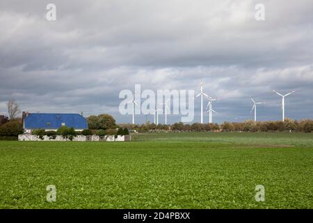 Windkraftanlagen bei Erkelenz-Keyenberg, Nordrhein-Westfalen, Deutschland. Windkraftanlagen nahe Erkelenz-Keyenberg, Nordrhein-Westfalen, Deutschlan Stockfoto