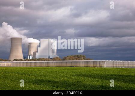 Gewächshauspark am Braunkohlekraftwerk Neurath in Grevenbroich, Nordrhein-Westfalen, Deutschland. Das benachbarte Kraftwerk von RWE Power p Stockfoto