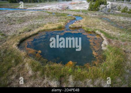 Hydrothermale Gebiete des oberen Geysir-Beckens im yellowstone-Nationalpark In wyoming in den usa Stockfoto