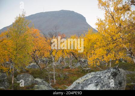 Saana fiel in Kilpisjärvi Dorf, Enontekiö, Lappland, Finnland Stockfoto