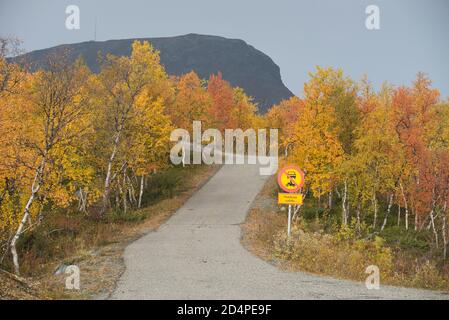 Saana fiel in Kilpisjärvi Dorf, Enontekiö, Lappland, Finnland Stockfoto