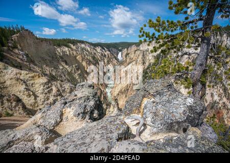 Lower Falls des yellowstone Nationalparks vom Künstler Point, wyoming in den usa Stockfoto