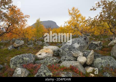 Saana fiel in Kilpisjärvi Dorf, Enontekiö, Lappland, Finnland Stockfoto