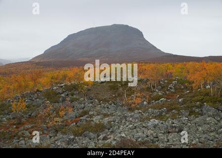 Saana fiel in Kilpisjärvi Dorf, Enontekiö, Lappland, Finnland Stockfoto