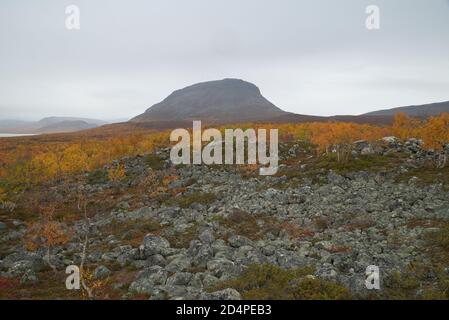 Saana fiel in Kilpisjärvi Dorf, Enontekiö, Lappland, Finnland Stockfoto