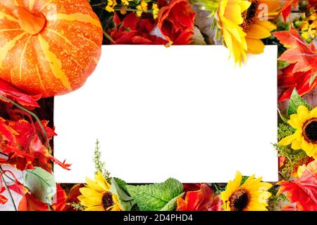 Herbst Hintergrund: Orange Kürbis, gelbe Sonnenblumen, orange und rote Blätter, Gänseblümchen Blume. Mock-up, floralen Rahmen für Design. Weichfokus. Stockfoto