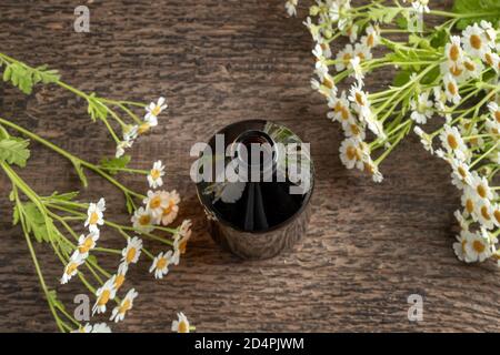 Eine dunkle Flasche Kräutertinktur mit blühender Feverfew-Pflanze Stockfoto