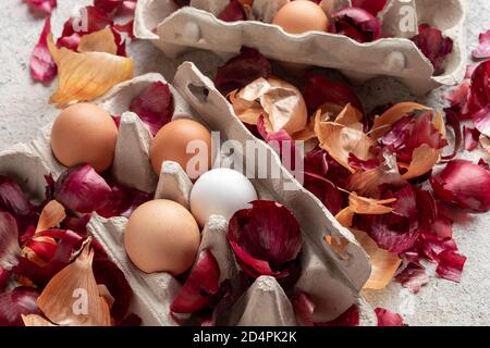 Rohe Eier mit Zwiebelschalen Stockfoto