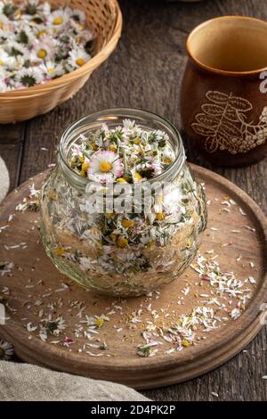 Zubereitung von hausgemachtem Kräutersirup gegen Husten aus frischen Gänseblümchen und Rohrzucker Stockfoto