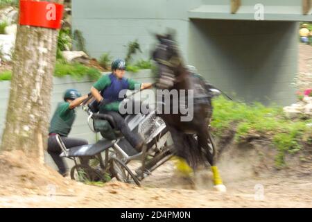 Marathon, CAI Live Oak Combined Driving Competition Stockfoto