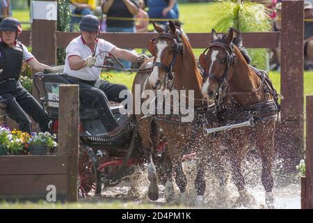 Zwei in der Hand beim Wasserhindernis, Marathon, CAI Live Oak Combined Driving Competition Stockfoto