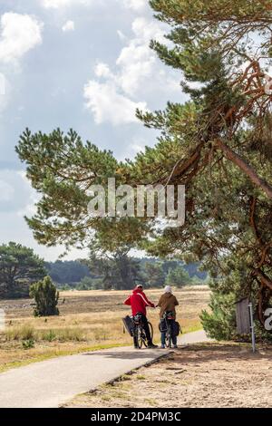 Ein paar Biker stehen unter einem Baum im Nationalpark De Hoge Veluwe, Gelderland, in den Niederlanden Stockfoto