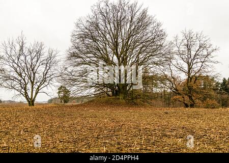 Ländliche Landschaft bei Fincken, Deutschland Stockfoto