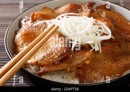 Butadon Schweinefleisch Schüssel, ist ein japanisches Gericht, bestehend aus einer Schüssel mit Reis gekrönt mit Schweinefleisch in einer milden süßen Sauce close-up in einer Schüssel auf dem Tisch köchelt. Stockfoto