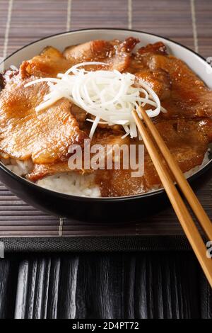 Japanische Butadon Schweinefleisch Reis Schüssel close-up in einer Schüssel auf dem Tisch. Vertikal Stockfoto