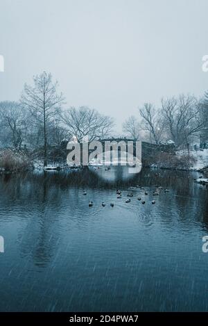Die Gapstow Bridge im Schnee, im Central Park, Manhattan, New York City Stockfoto