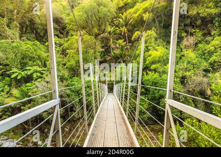 Hängebrücke über den Wainui River, Ozeanien, Wainui Falls Track, Golden Bay, Tasman, Südinsel, Neuseeland, Ozeanien Stockfoto