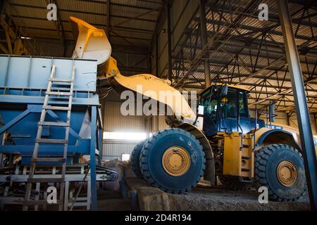 Region Aktobi/Kasachstan - Mai 04 2019: Phosphatdüngeanlage. Caterpillar Planierraupe oder Bagger Laden von Rohstoffen (Mineralien) in Maschine h Stockfoto