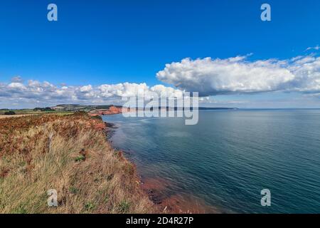 Klippen in Ladram Bay in Devon Stockfoto
