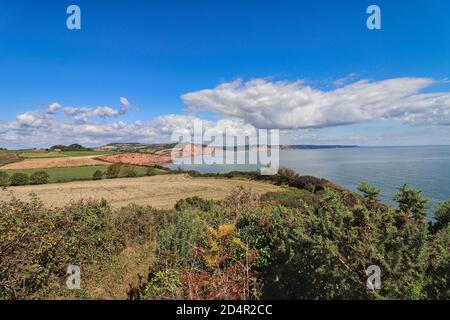 Klippen in Ladram Bay in Devon Stockfoto