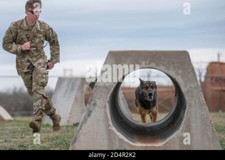 Senior Airman Michael Madeira, 7th Security Forces Squadron Military Working Dog Handler, und MWD Fix-Zug auf der Dyess Air Force Base, Texas, 21. Januar 2020. Die 7. SFS-Zwingerstrecke hat einen Hindernislauf, um eine Beziehung zwischen Handlern und MWDs zu trainieren und aufzubauen. (USA Air Force Foto von Senior Airman River Bruce) Stockfoto