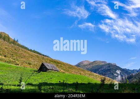 Kleine hölzerne Schäferhütte auf einer lebhaften grünen Lichtung mit Tatra-Gebirge im Hintergrund und kristallklarem Himmel, Tal im Tatra-Nationalpark, Polen Stockfoto