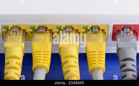 Mehrere RJ45-LAN-Kabel, die mit einem Router verbunden sind, bilden ein Kommunikationsnetzwerk. Stockfoto