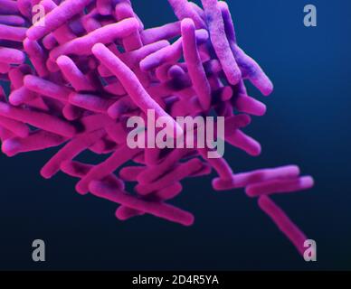 Dies ist eine medizinische Illustration von arzneimittelresistenten Mycobacterium tuberculosis-Bakterien, die in den Centers for Disease Control and Prevention (CD Stockfoto